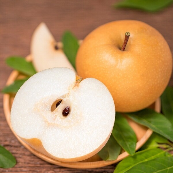 양양청마농원,양양청마농원 낙산배(신고배) 7.5kg  5kg  9 ~ 15과